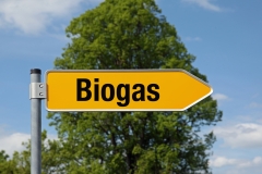 Pfeil mit Baum BIOGAS